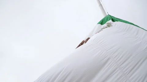 Unique Close Up worm's eye view of stylized Mexican Flag Eagle Devouring Snake Video stock 342220765