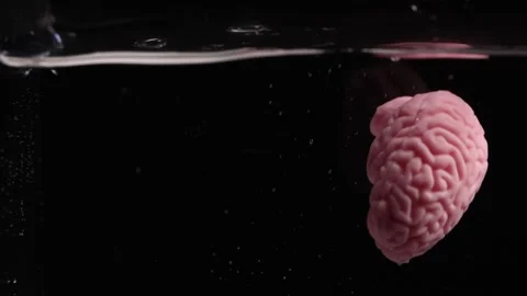 Unique Cooling Experiment Reveals Surprising Brain Effects and Creative Ideas Stock Footage 313574008