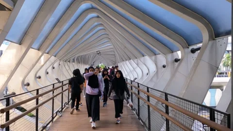 Unique Crossing Bridge Stock Footage 257496232