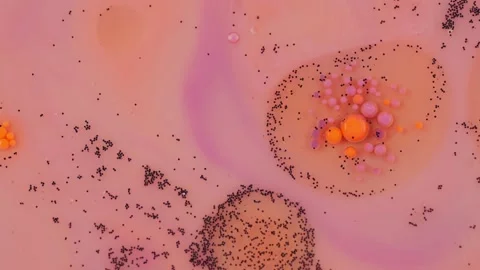 A unique dance of colored bubbles that move smoothly in slow motion. Vídeos de archivo 281744230