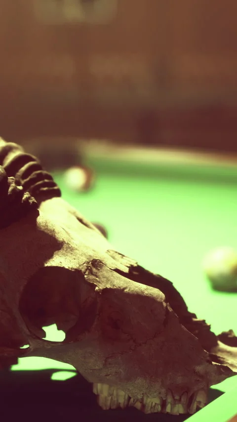 Unique decor featuring a skull and pool table in a dimly lit bar setting Stock Footage 321683956