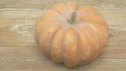 A Unique Decorative Pumpkin for the Celebratory Fall Season Featuring Autumnal Video stock 285317247