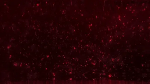 Unique Design Abstract Digital Animation Pixel Noise Glitch Error Video Damage Stock Footage 80999402