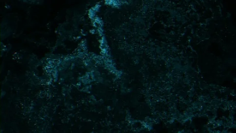 Unique Design Abstract Digital Fluid Pixel Animation Stock Footage 112887704