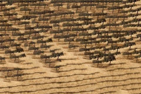 Unique Design Abstract Digital Pixel Noise Glitch Error Video Damage Stock Photos