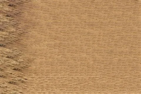 Unique Design Abstract Digital Pixel Noise Glitch Error Video Damage Stock Photos