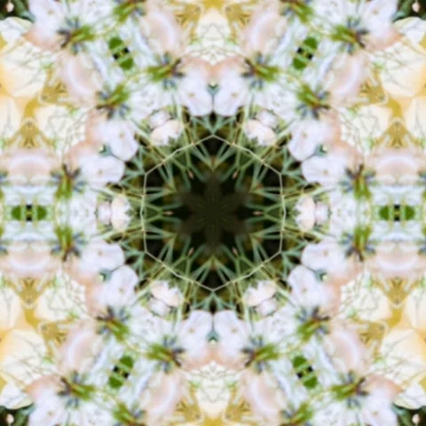 Unique design Kaleidoscope floral pattern Circle geometry Seamless Stock Footage 227527736
