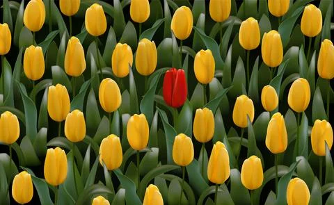 Unique different flower stands out, many yellow, one red. Vector realistic Stock Illustration