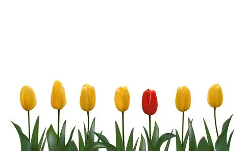 Unique different flower stands out, many yellow, one red. Vector realistic Stock Illustration
