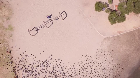 Unique drone perspective of person on swing with birds flying around Stock Footage 95458088