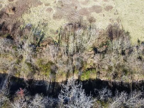 Unique drought affection Stock Photos