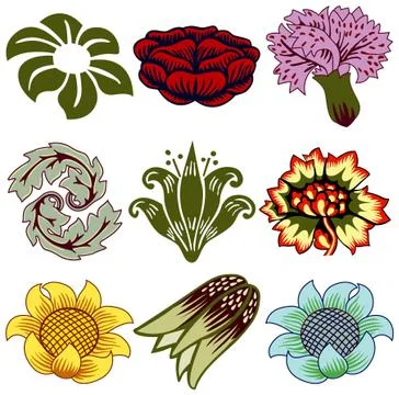 Unique flowers Illustration