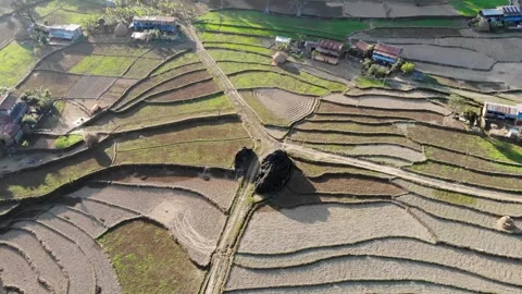 Unique. Stock Footage 170883256