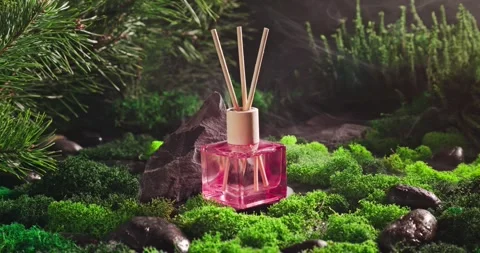 Unique fragrance diffuser as the scent of damp forest. Stock Footage 332251804