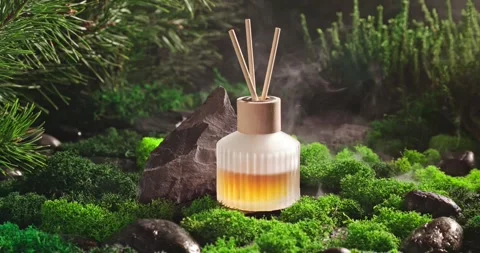 Unique fragrance diffuser as the scent of damp forest. Vidéo 335108595