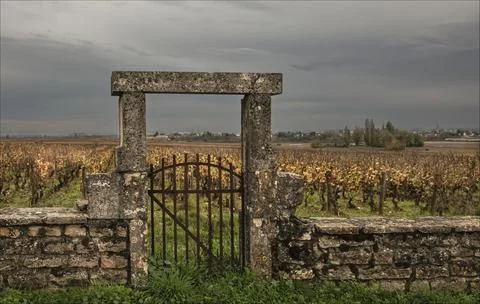 The unique gated small parcels of vines in the Burgundy region Stock Photos