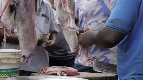 Unique Gobarator cutting process with precise hand-held techniques Video stock 316935921