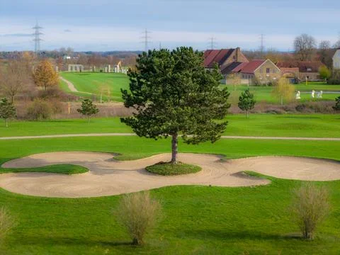 Unique golf course design featuring a lone tree surrounded by sand traps in.. 库存照片