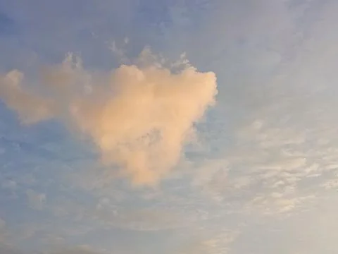 Unique heart shaped cloud glowing in warm sunset light against a soft blue sky. Foto stock