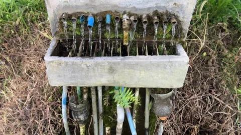 Unique irrigation in the countryside 스톡 동영상 308226052