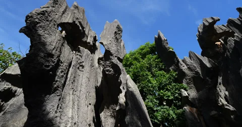 Unique karst formations in Shilin Stone Forest, low angle shot Видео 329466869