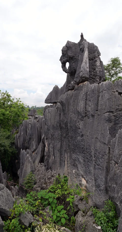 Unique karst rock formation, elephant rock at Shilin Stone Forest in Kunming 库存影片 329622602