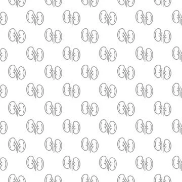 Unique kidney seamless pattern with various icons and symbols on white Stock Illustration