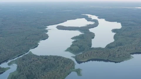 Unique lake with islands and pine forests from above Video stock 333830080