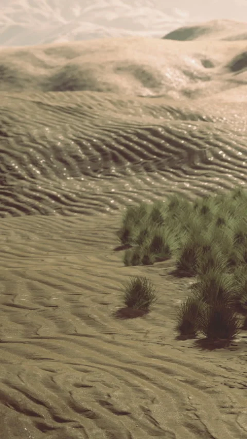 Unique landscape of dry sand and green plants in a desert area Stock Footage 336166377
