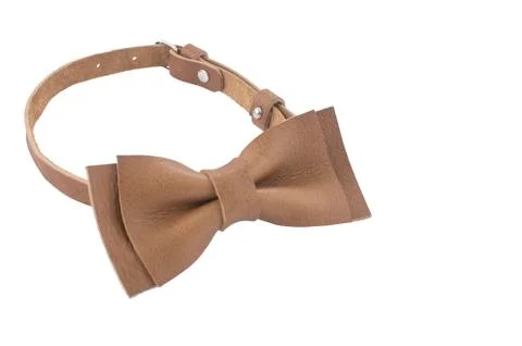 Unique leather bow tie Stock Photos