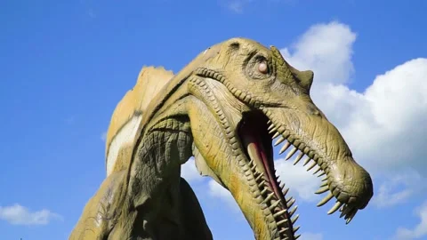 Unique looking ancient beast close up of eye without colour pigment bright Stock Footage 224475905