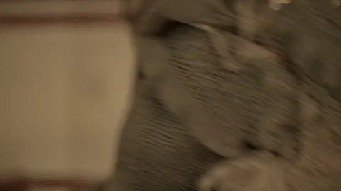 Unique low angle perspective in a cozy living room setting captured indoors Stock Footage 319964153