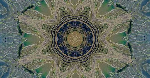 Unique natural pattern Stock Illustration