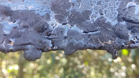 Unique nature 5 Stock Footage 280285958