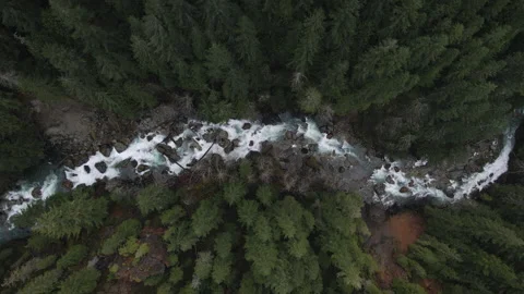 Unique Nature Background Looking Down on Winding Forest River in Thick Evergr Stock Footage 145043973