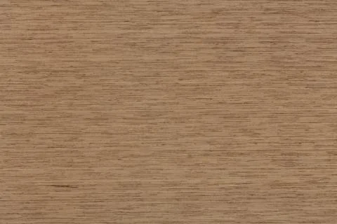 Unique oak background close-up. Stock Photos