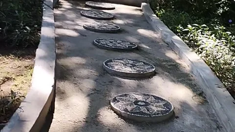 Unique paths in the park Stock Footage 223845134