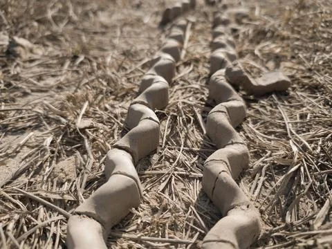 Unique pattern of dry mud from vehicle tires on an agricultural field. Foto stock