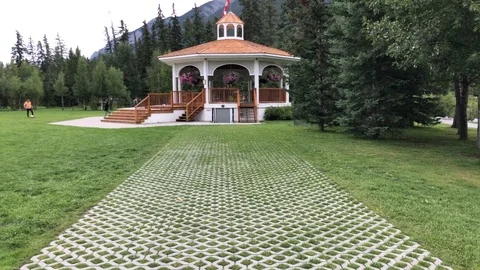 Unique pattern by grass on pathway Video stock 114323095