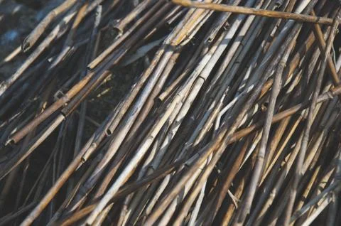 The unique pattern view of reeds twigs Stock Photos