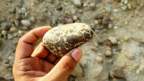 Unique Patterned River Pebble Held In Hand Outdoor Geology Finding Foto stock