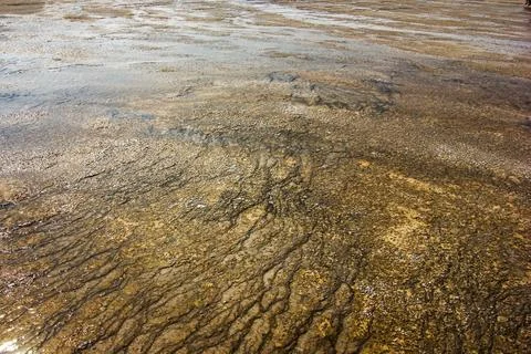 Unique patterns form on the surface of a natural hot spring at Yellowstone .. Stock Photos