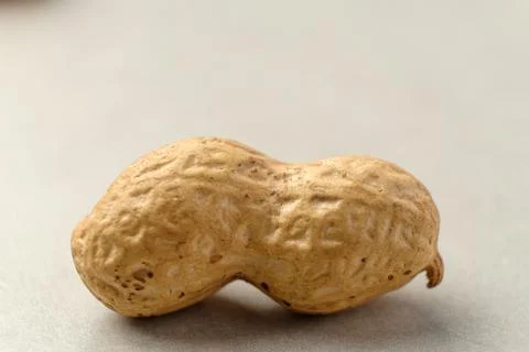 Unique peanut resting on a smooth surface, showcasing its texture and shape Stock Photos