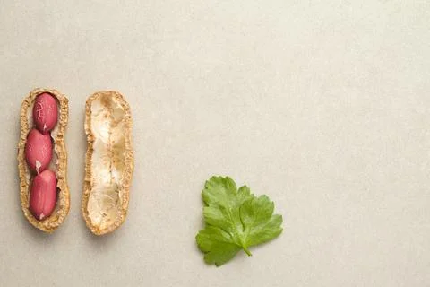 Unique peanut split open with vibrant kernels and a fresh herb leaf 库存照片