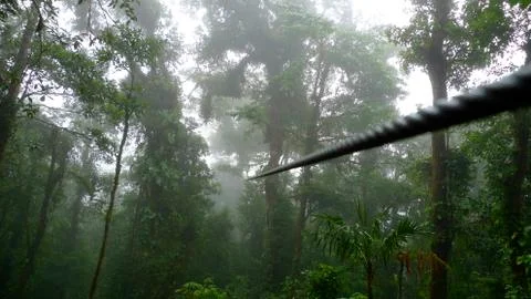 Unique Perspective Of A Zipline, Running Through A Lush Green Rain Forest Stock Photos