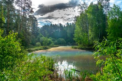 A unique phenomenon, the sun's rays reflected from the surface of the forest Stock Photos