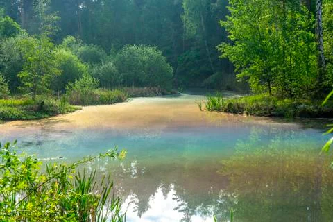 A unique phenomenon, the sun's rays reflected from the surface of the forest Stock Photos