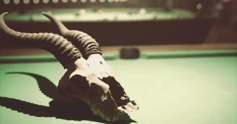 Unique pool hall decoration featuring a skull with impressive horns 스톡 일러스트