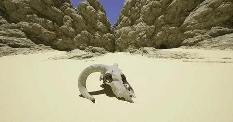 Unique ram skull lying on sandy ground surrounded by rocky cliffs at midday Stock Illustration