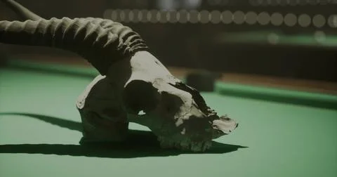 Unique ram skull resting on a green billiards table in a dimly lit room Stock Illustration
